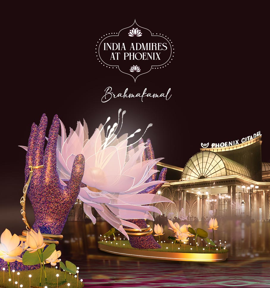 phoenix festival